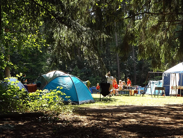 La colonie de vacances 11 ans et ses informations