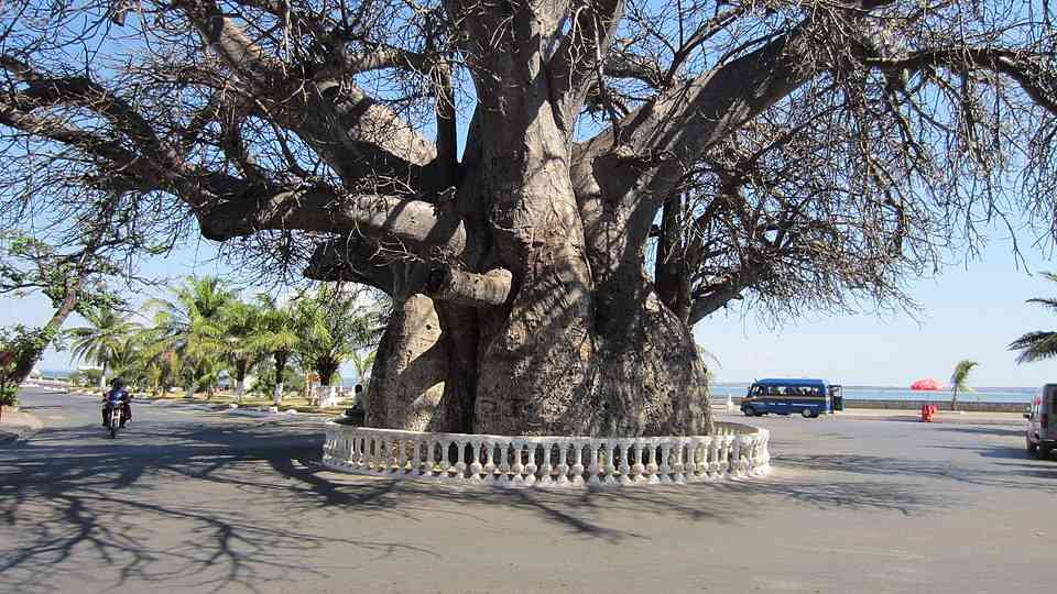 Mahajanga